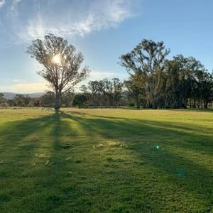 Meet your Posher, Stojan